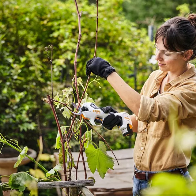  STIHL ASA 20 Astschere 