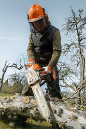 Stihl Motorsäge MSA C-B Top-Modell