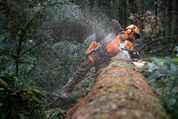 Stihl-MS-MS500I-AW